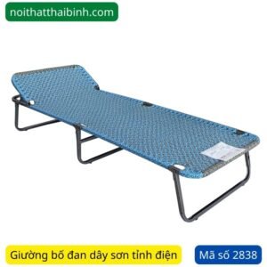 Giường bố sơn điện MS 2838