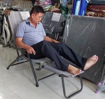 8 Loại Cây Phong Thủy Đặt Gần Ghế Bố Giúp Không Gian Thư Giãn Thêm Sinh Khí