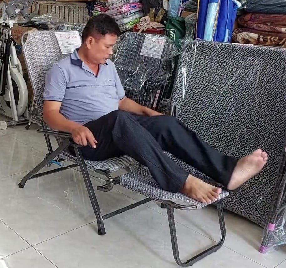 8 Loại Cây Phong Thủy Đặt Gần Ghế Bố Giúp Không Gian Thư Giãn Thêm Sinh Khí